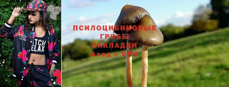 где продают наркотики  Находка  Псилоцибиновые грибы Psilocybe 